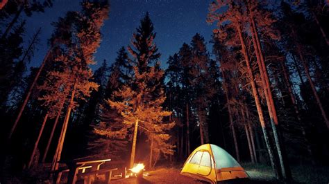Camping woods. Things To Know About Camping woods. 